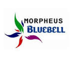 Morpheus Bluebell